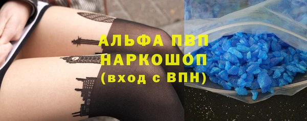 СК Надым