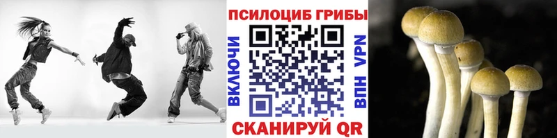 Галлюциногенные грибы мицелий  дарнет шоп  Ленинградская 